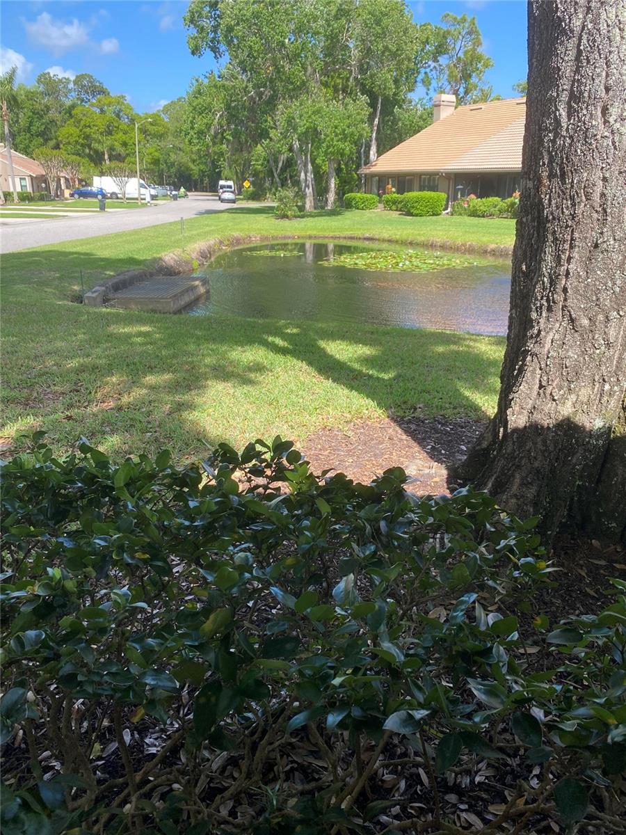 Image 34 of 34 For 3134 Windmoor Drive N