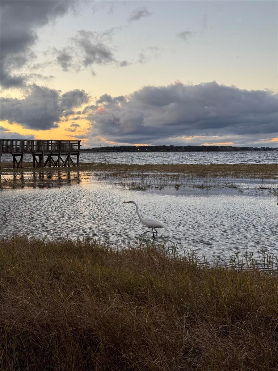 Image 21 of 24 For 135 Carroll Street