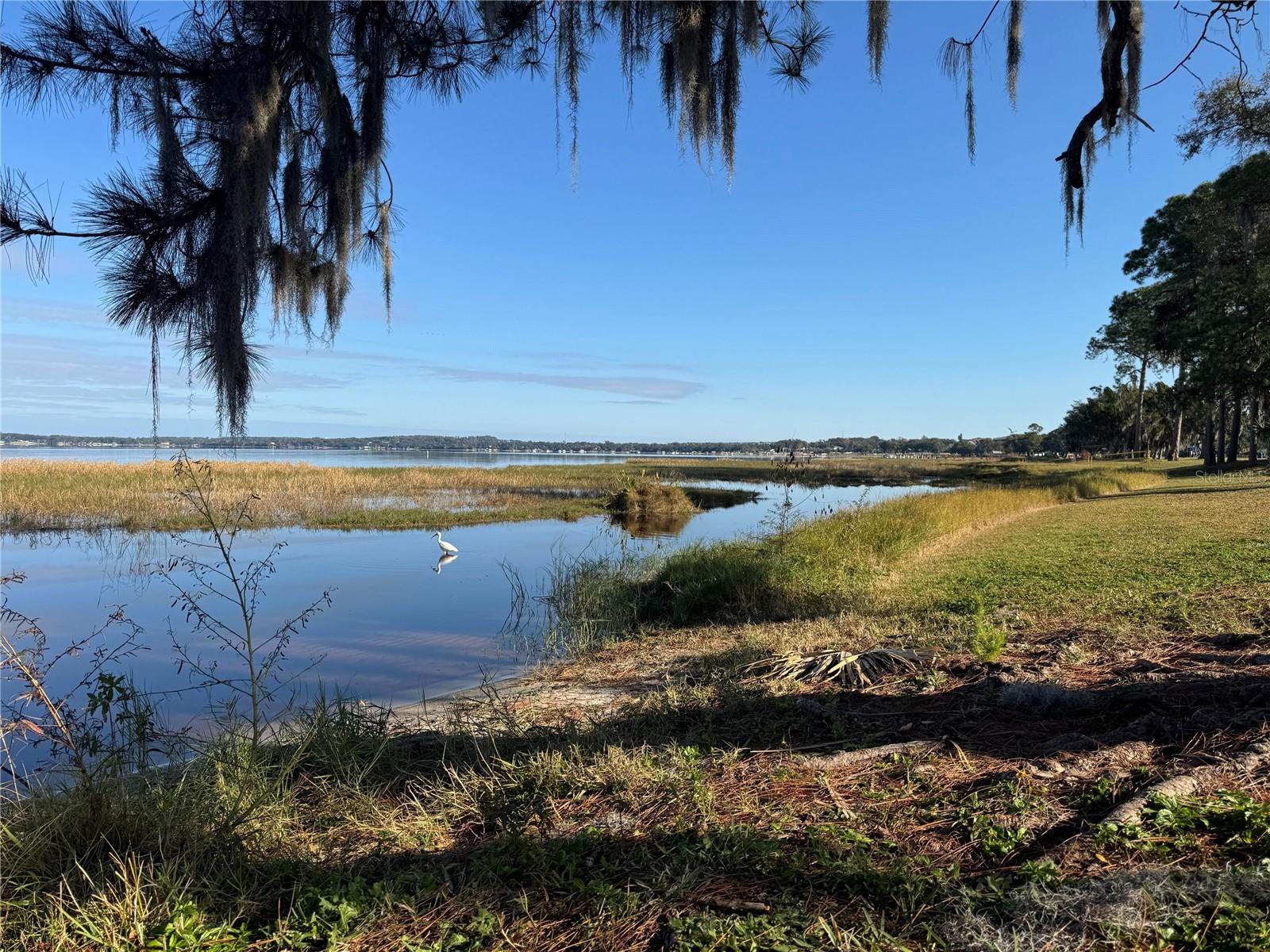 Image 22 of 24 For 135 Carroll Street