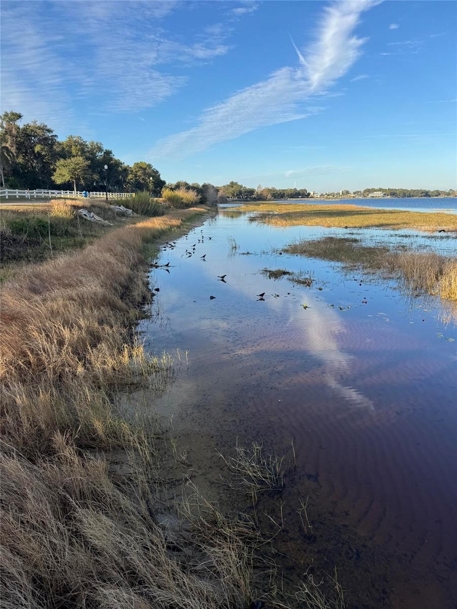 Image 23 of 24 For 135 Carroll Street