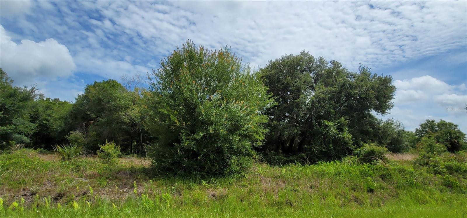 Image 20 of 34 For Nw 268th Street