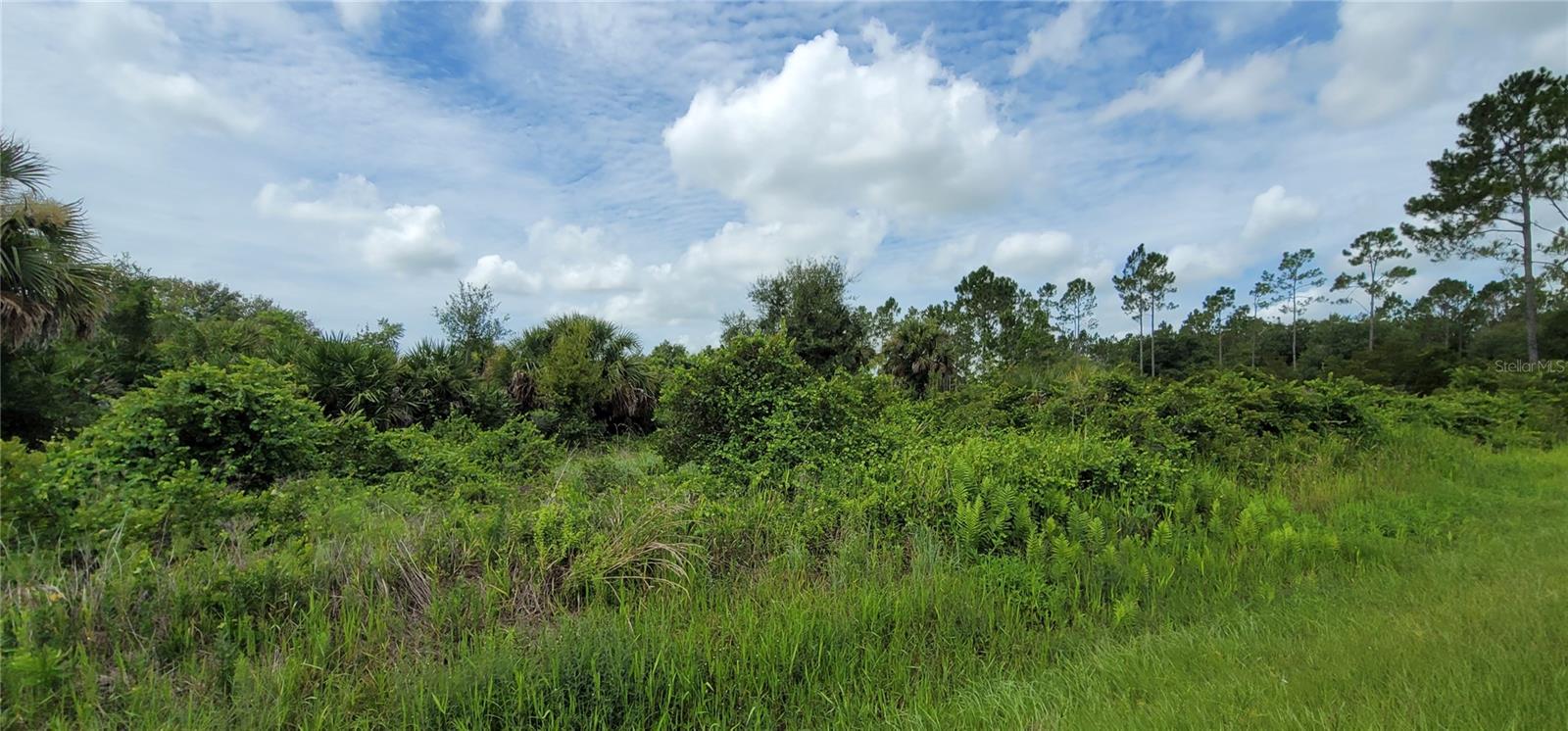 Image 4 of 34 For Nw 268th Street