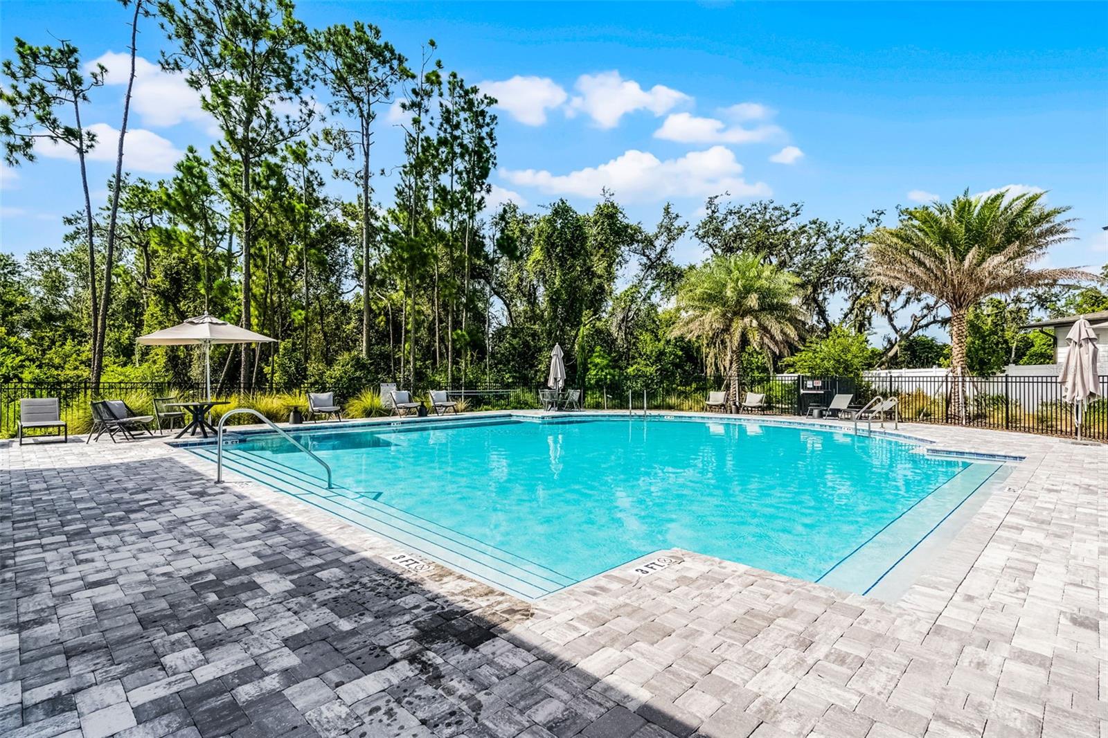 Image 26 of 54 For 17406 Honeybell Tangelo Court