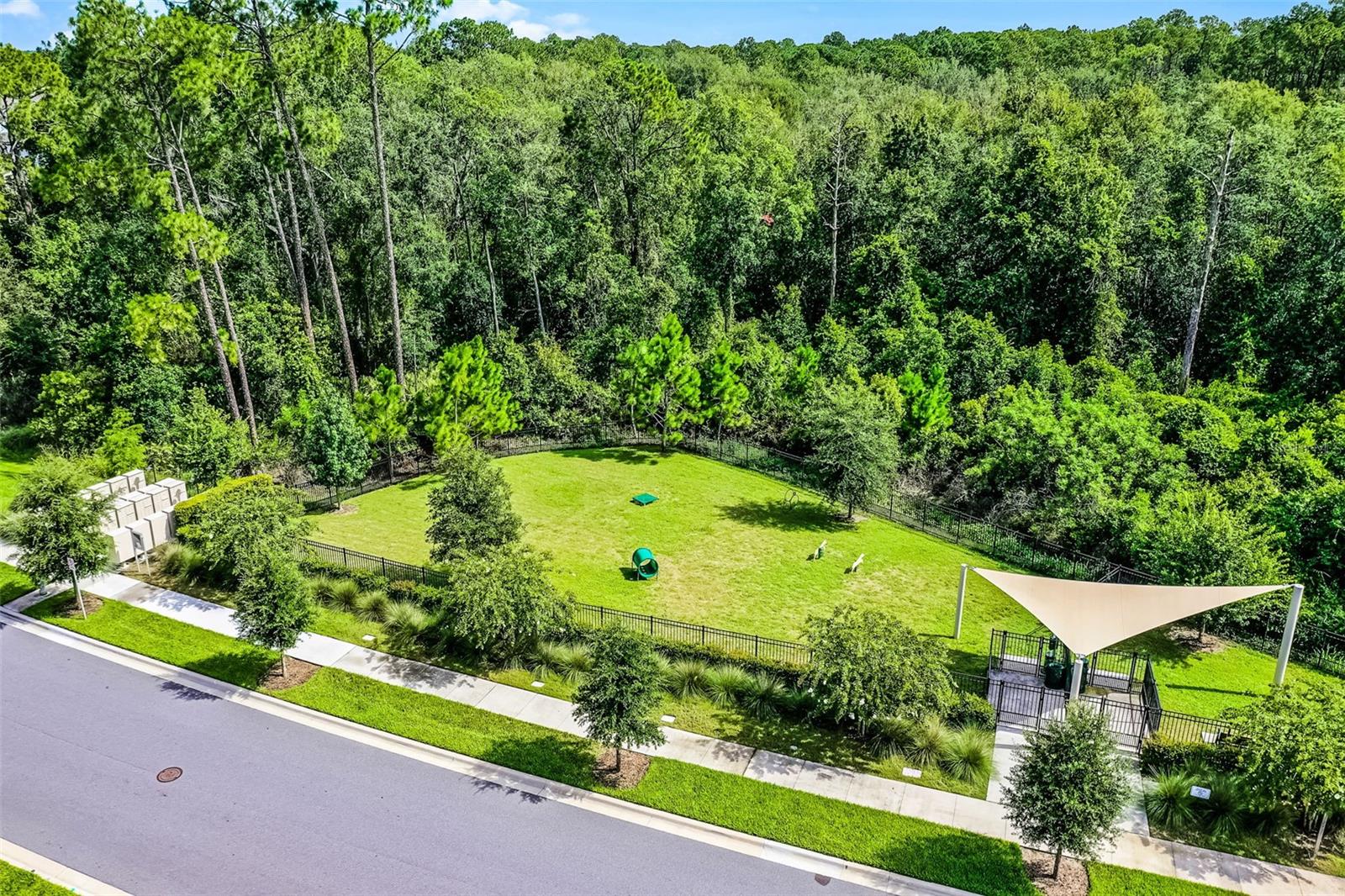 Image 39 of 54 For 17406 Honeybell Tangelo Court