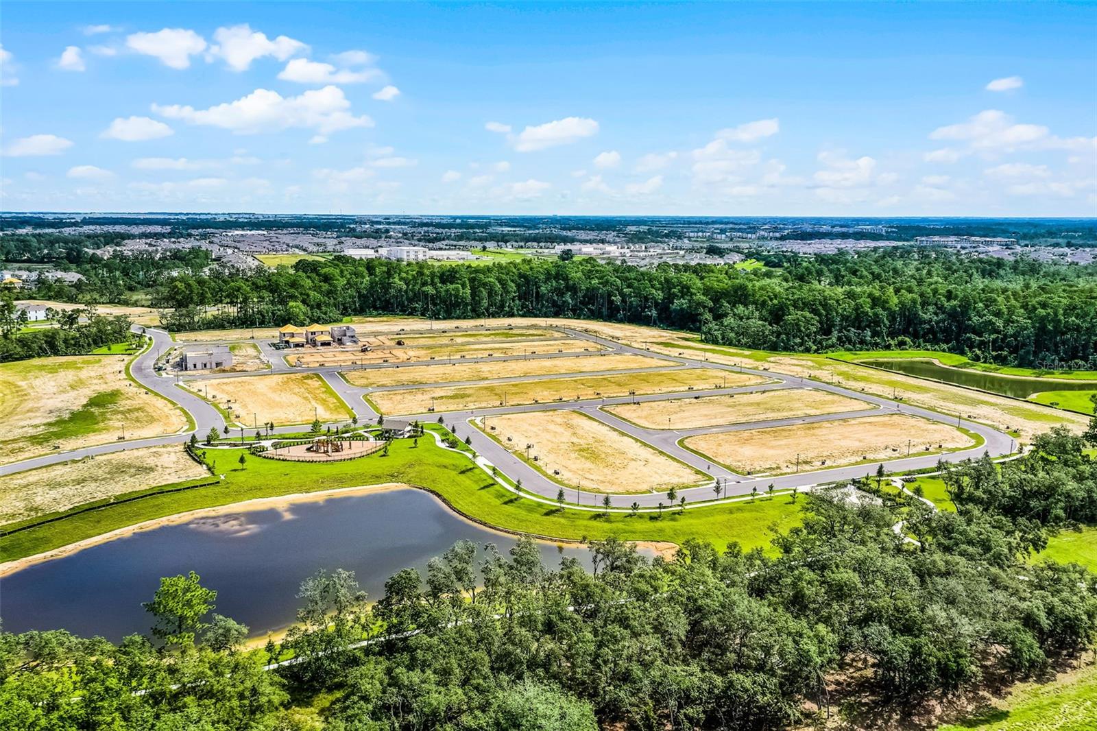 Image 49 of 54 For 17406 Honeybell Tangelo Court