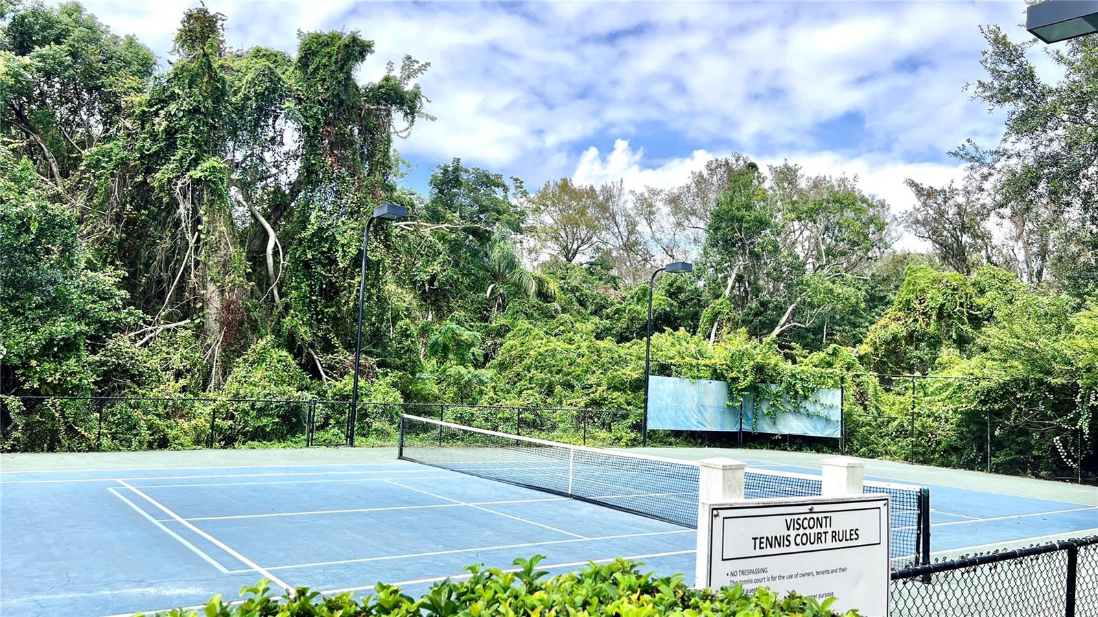 Image 34 of 40 For 1375 Lake Shadow Circle 11203