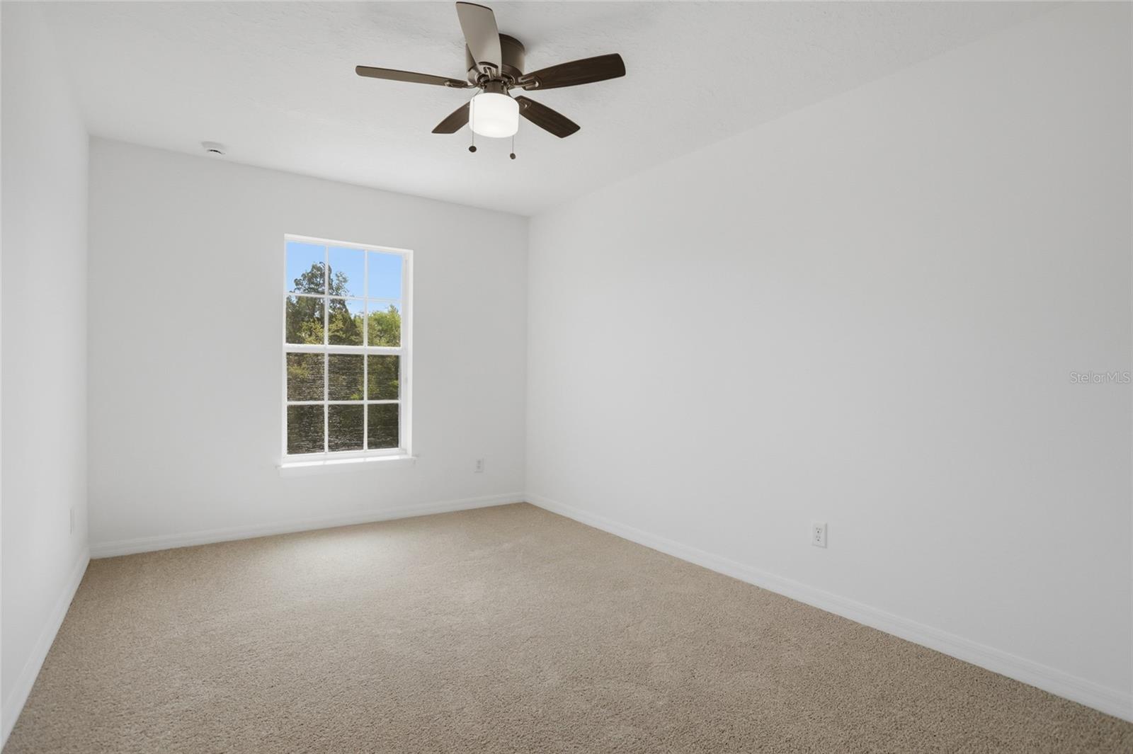 Image 26 of 55 For 480 Williams Avenue