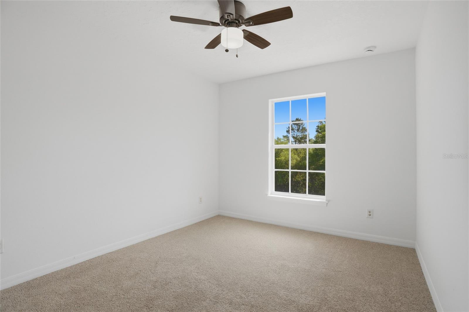 Image 31 of 55 For 480 Williams Avenue