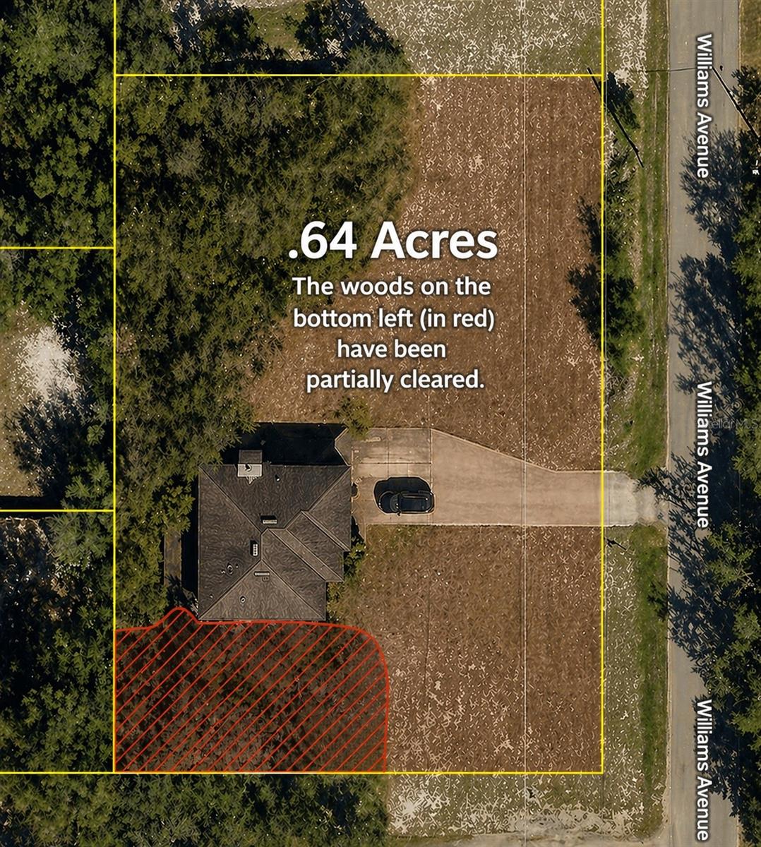 Image 45 of 55 For 480 Williams Avenue