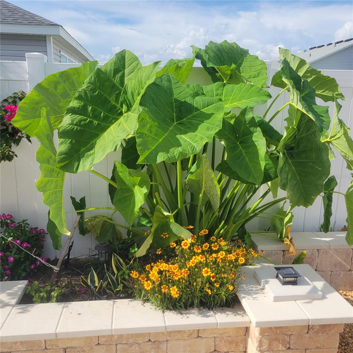 Image 26 of 28 For 7591 Mergaert Lane