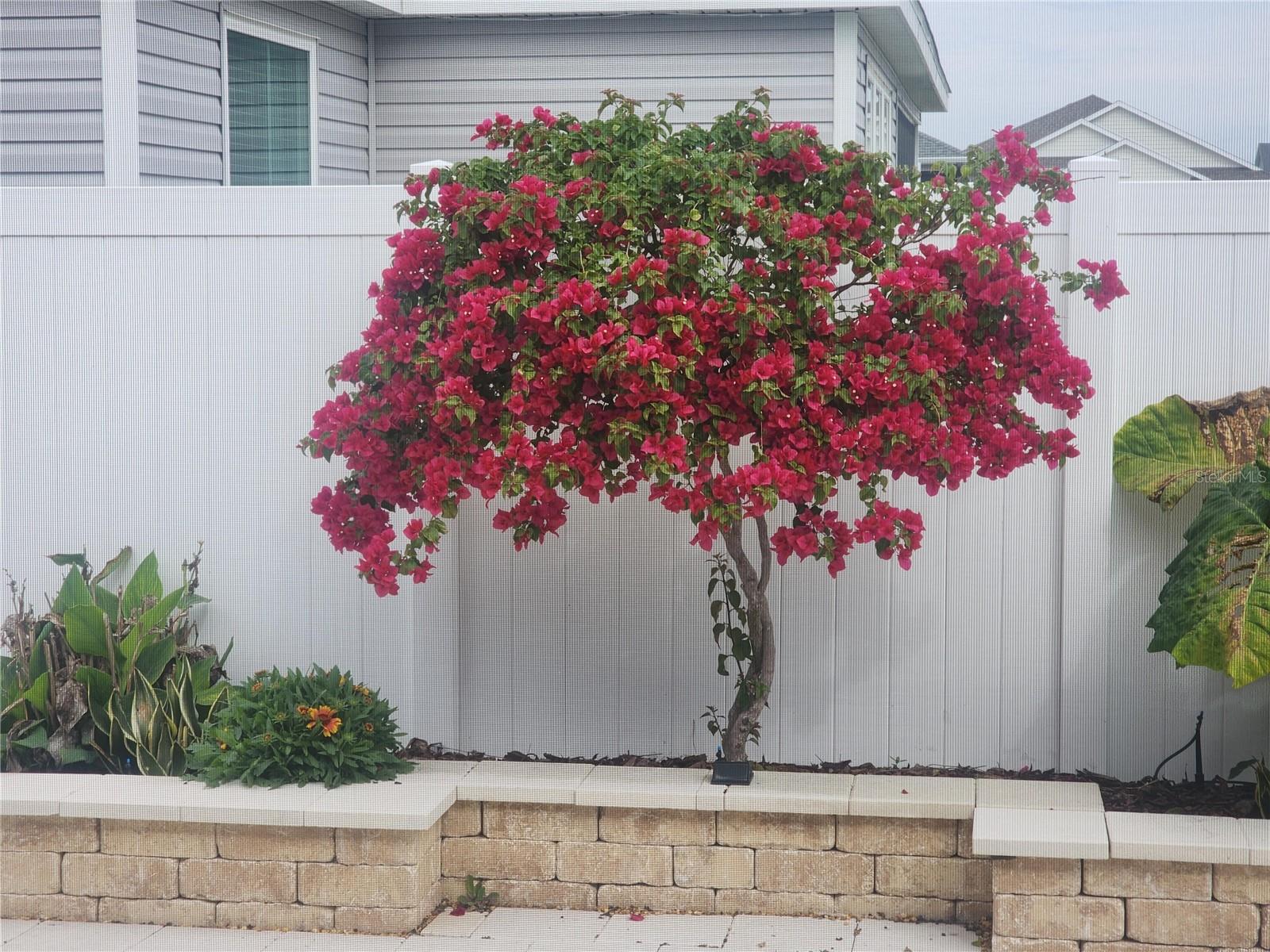 Image 27 of 28 For 7591 Mergaert Lane