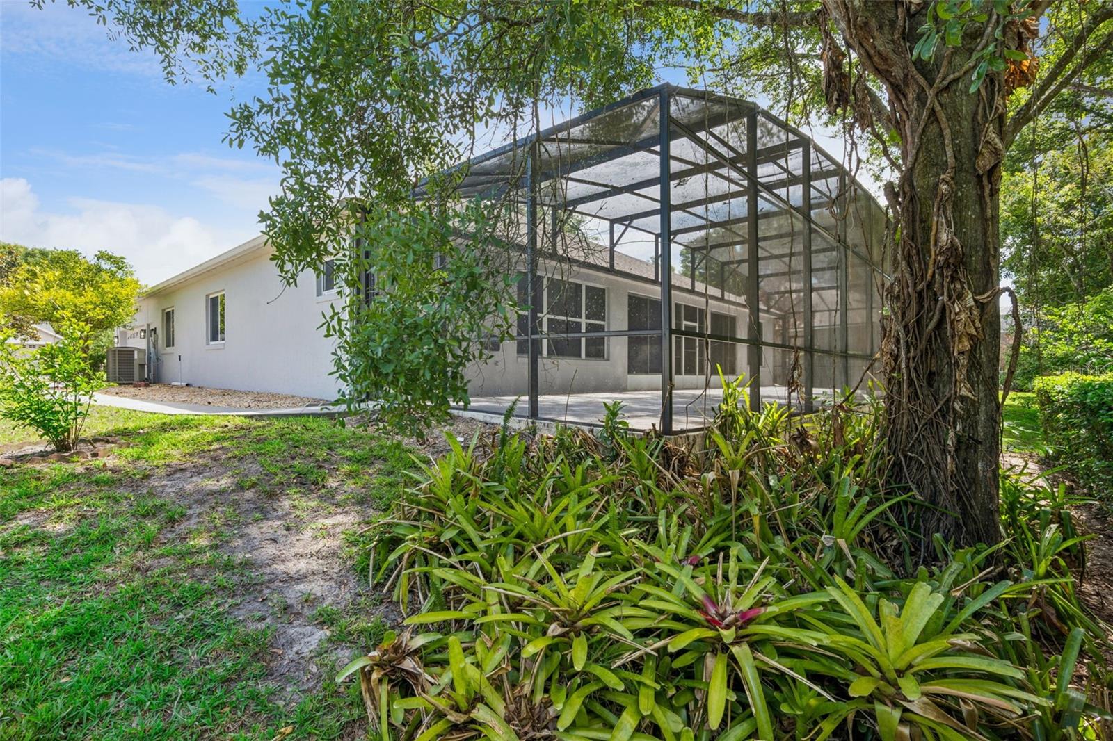 Listing photo id 33 for 571 Masalo Place