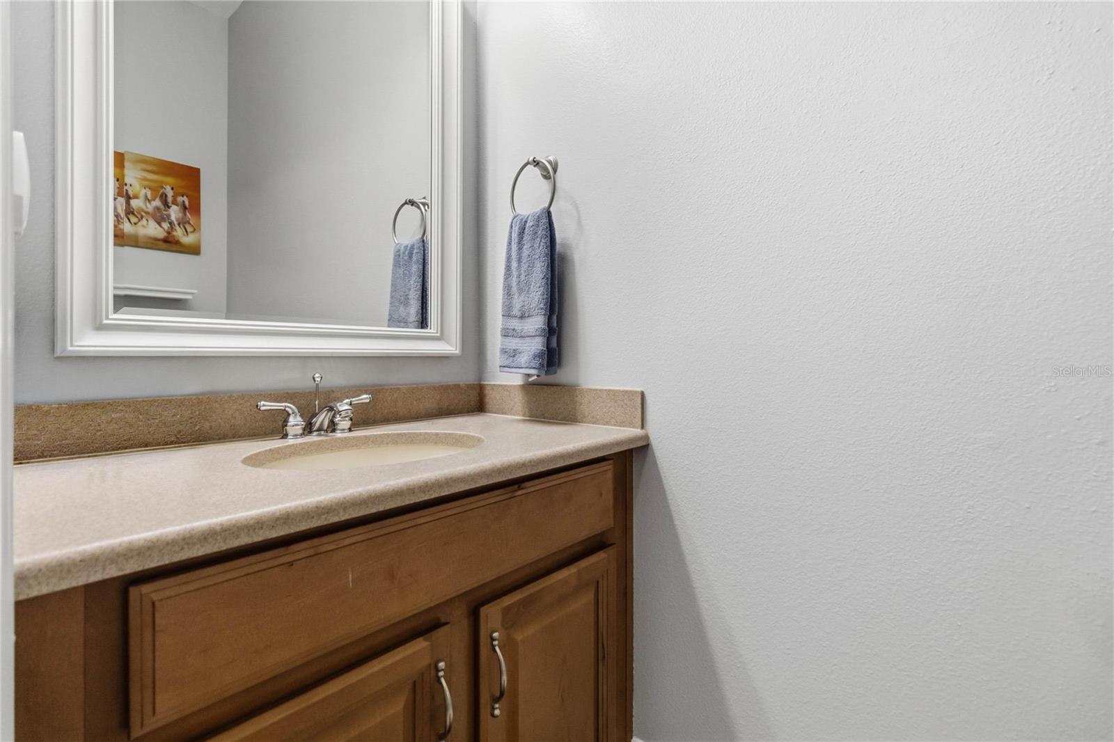 Image 30 of 39 For 2107 Velvet Leaf Drive