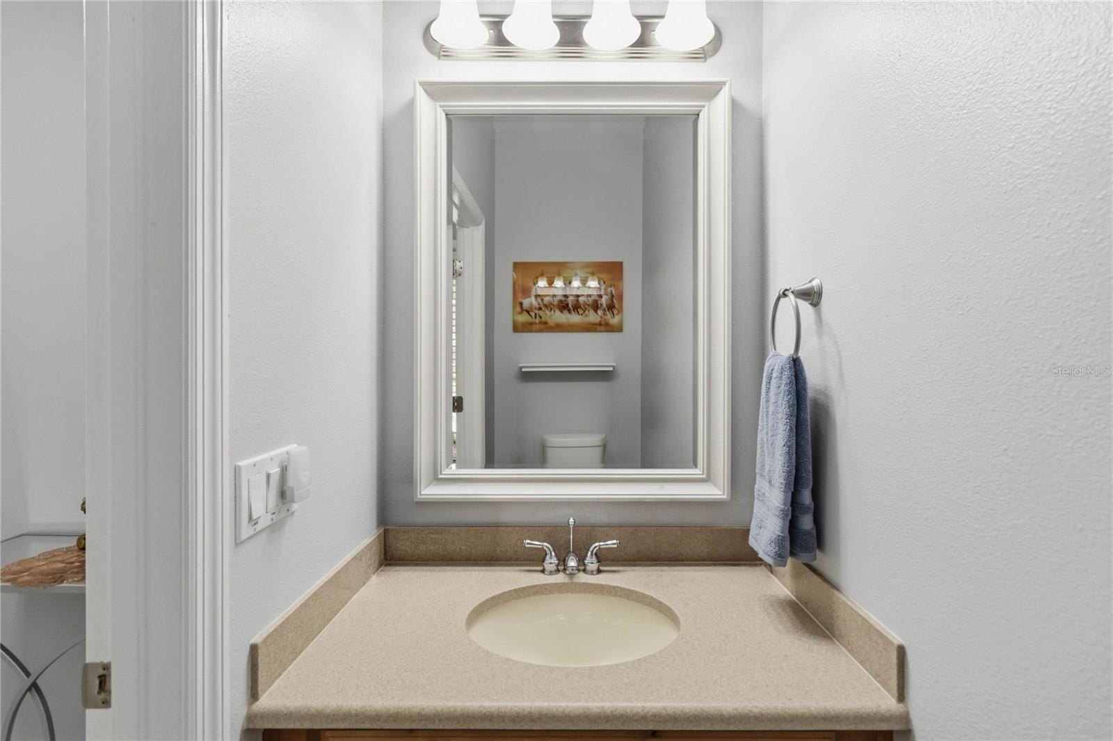 Image 31 of 39 For 2107 Velvet Leaf Drive