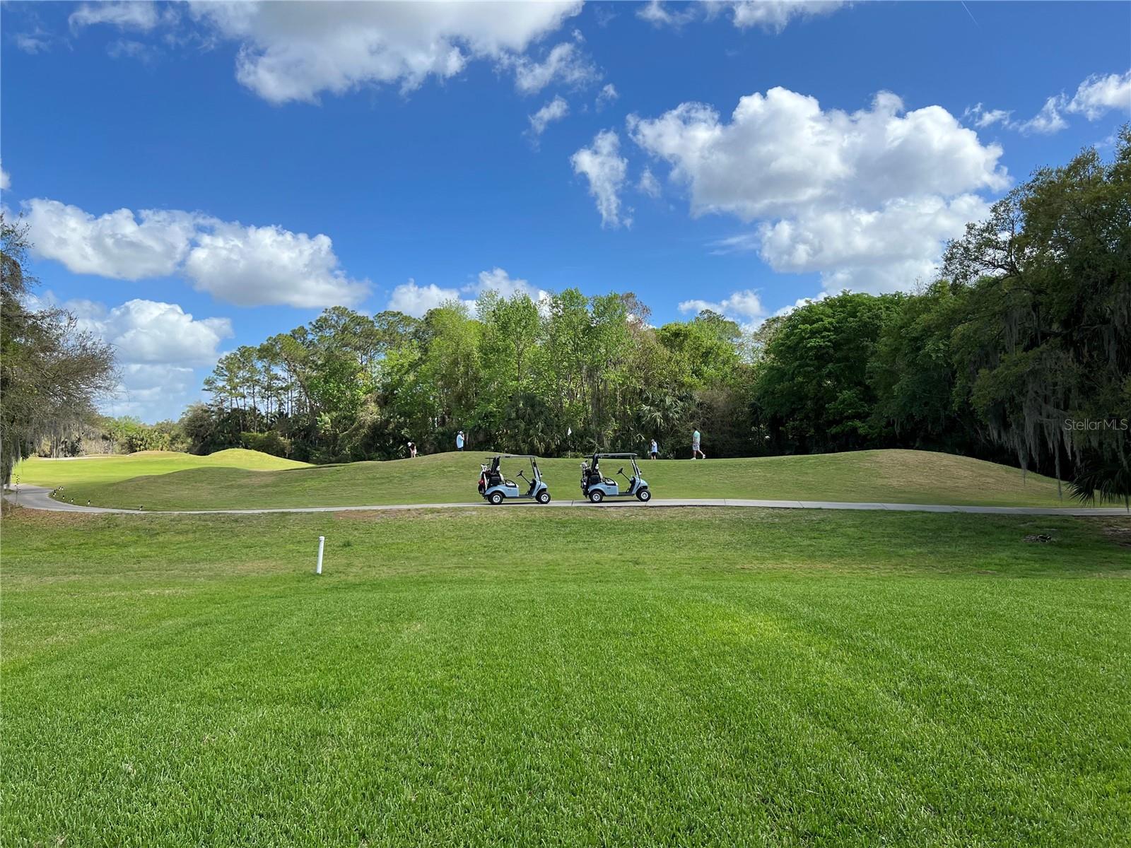 Image 64 of 66 For 2125 Emerald Green Circle