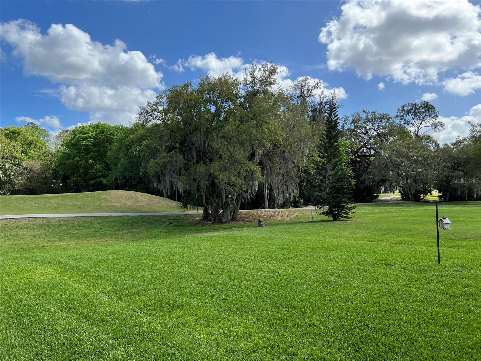 Image 65 of 66 For 2125 Emerald Green Circle