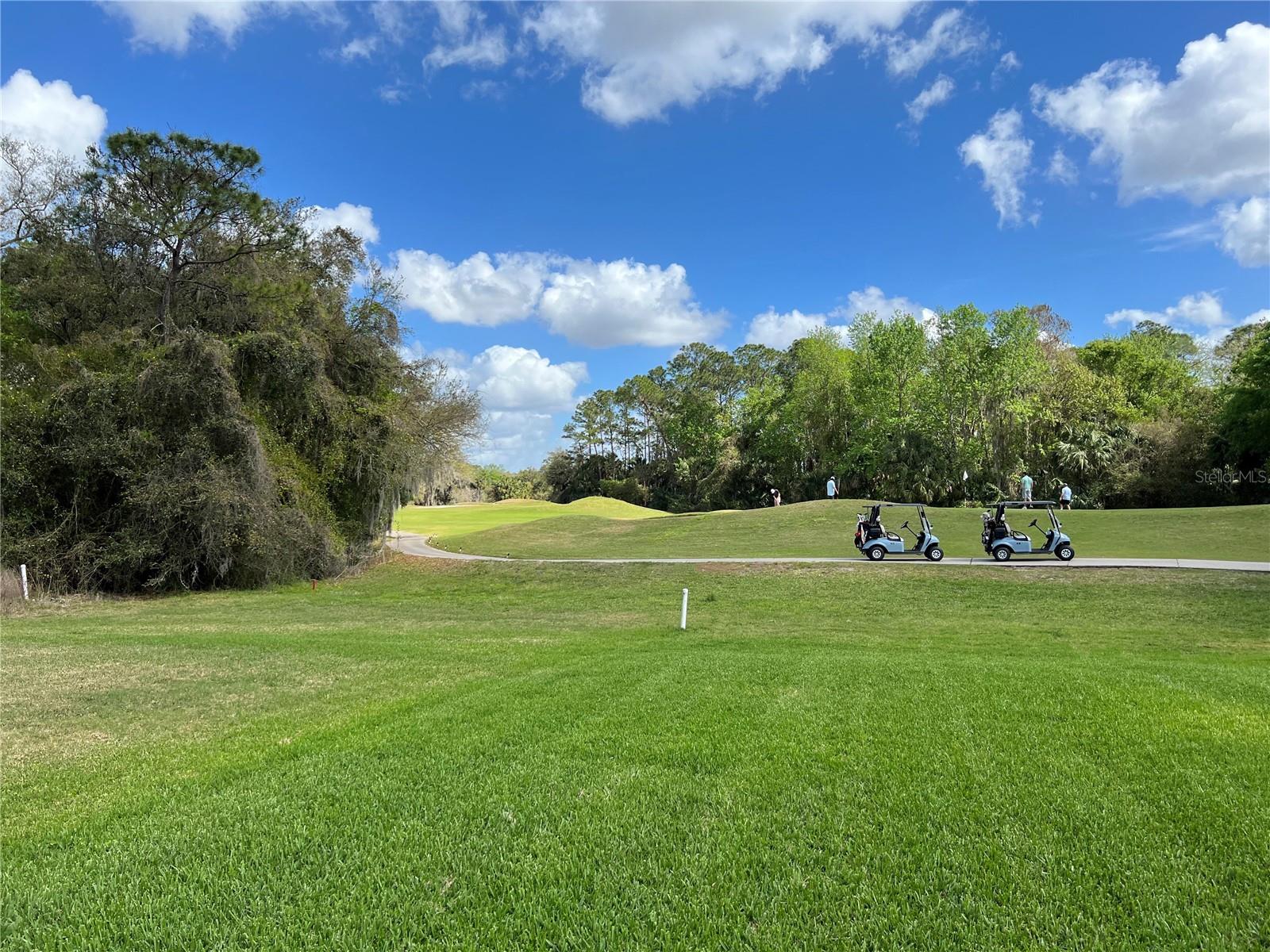 Image 66 of 66 For 2125 Emerald Green Circle