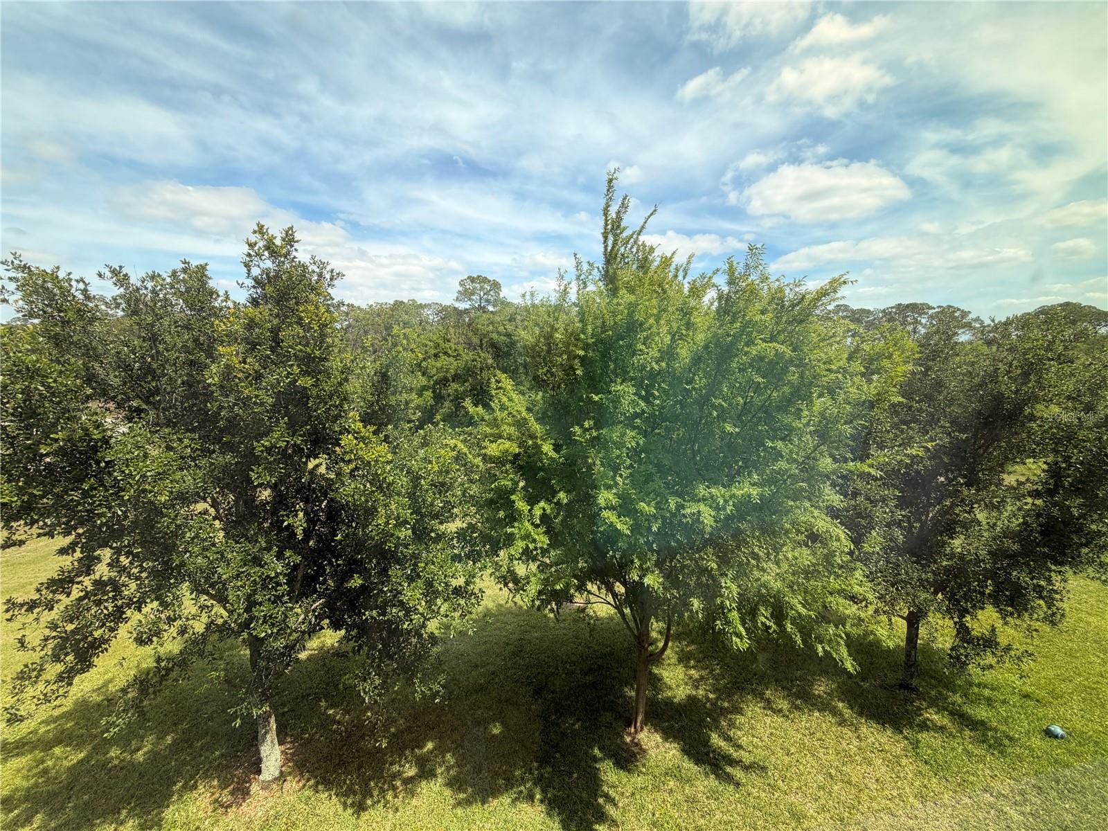 Image 12 of 34 For 10013 Austrina Oak Loop