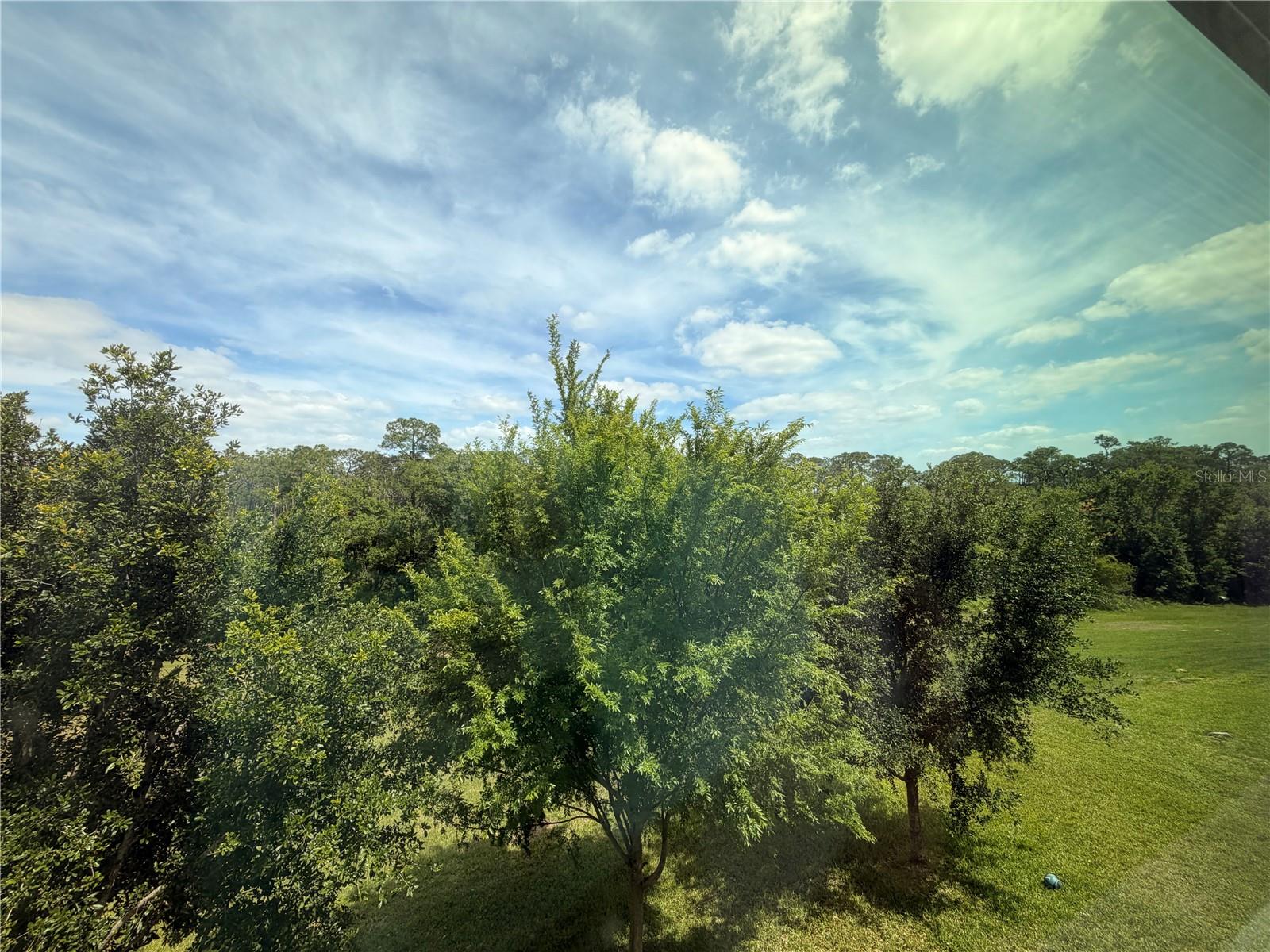 Image 13 of 34 For 10013 Austrina Oak Loop