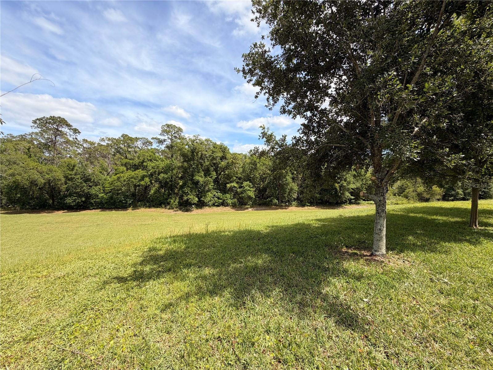 Image 6 of 34 For 10013 Austrina Oak Loop