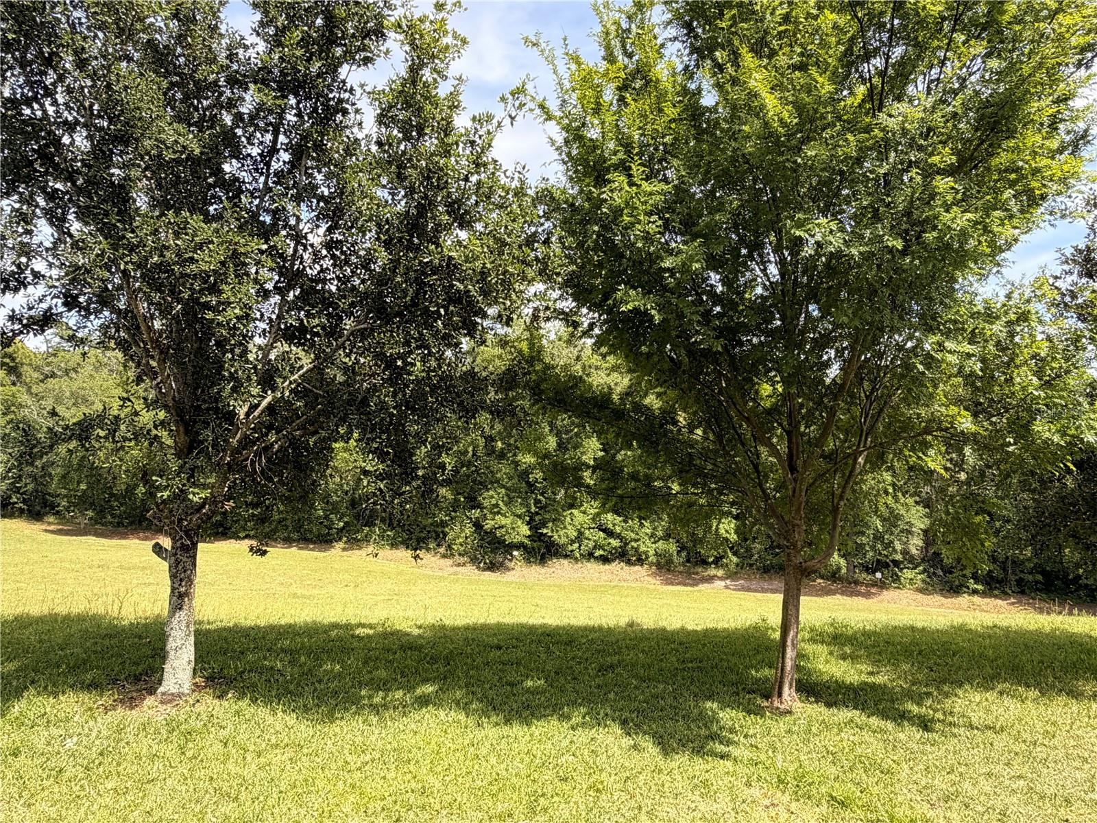 Image 8 of 34 For 10013 Austrina Oak Loop