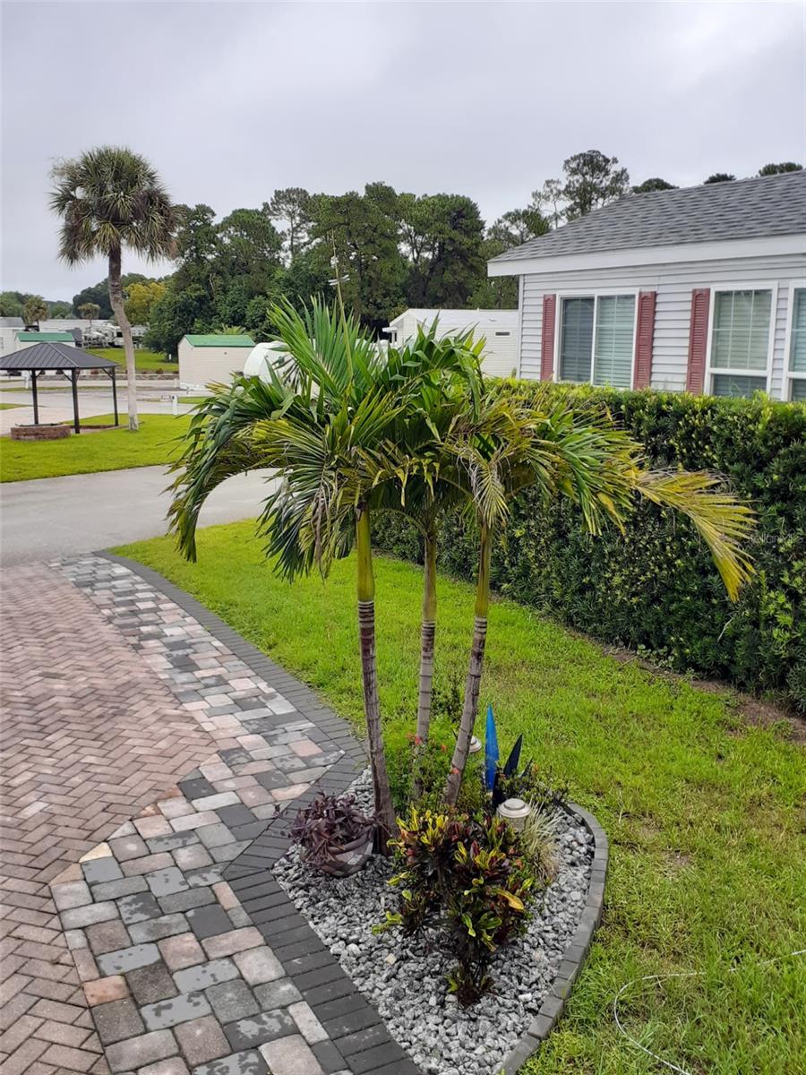 Image 2 of 14 For 2328 Limewood Avenue 050