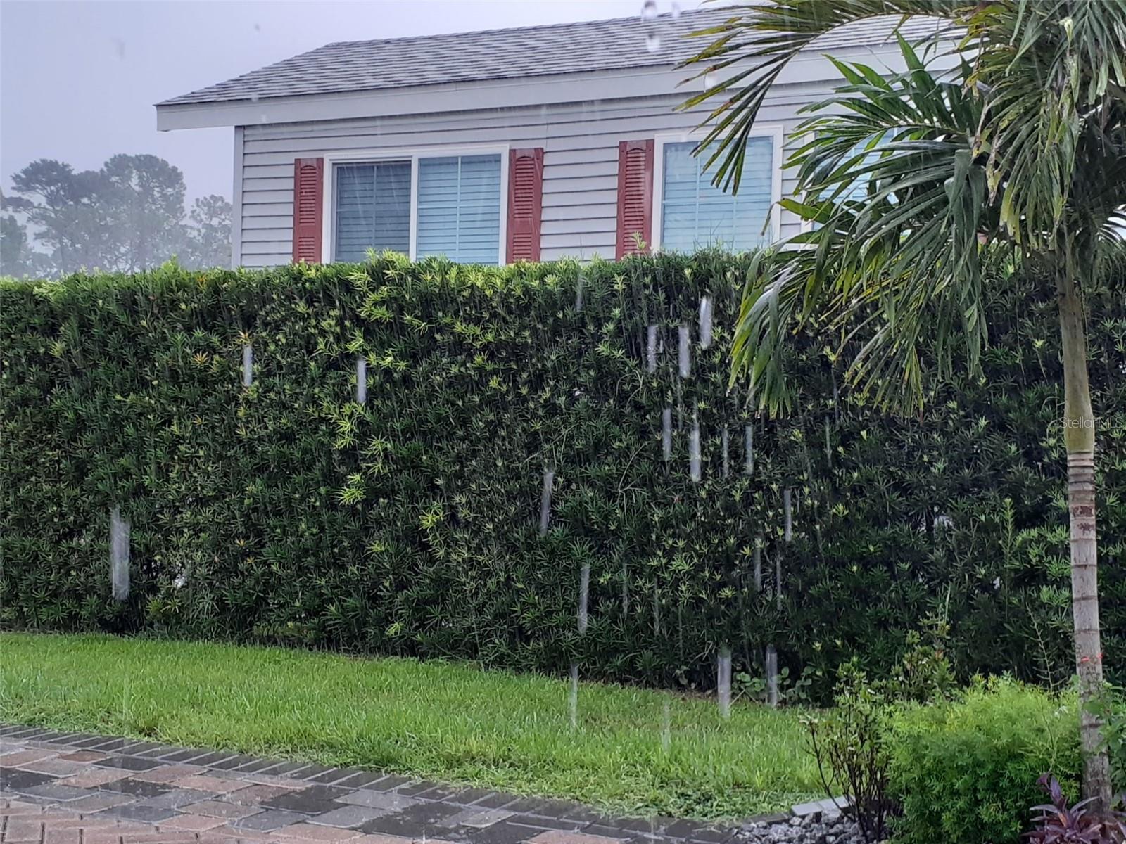 Image 3 of 14 For 2328 Limewood Avenue 050