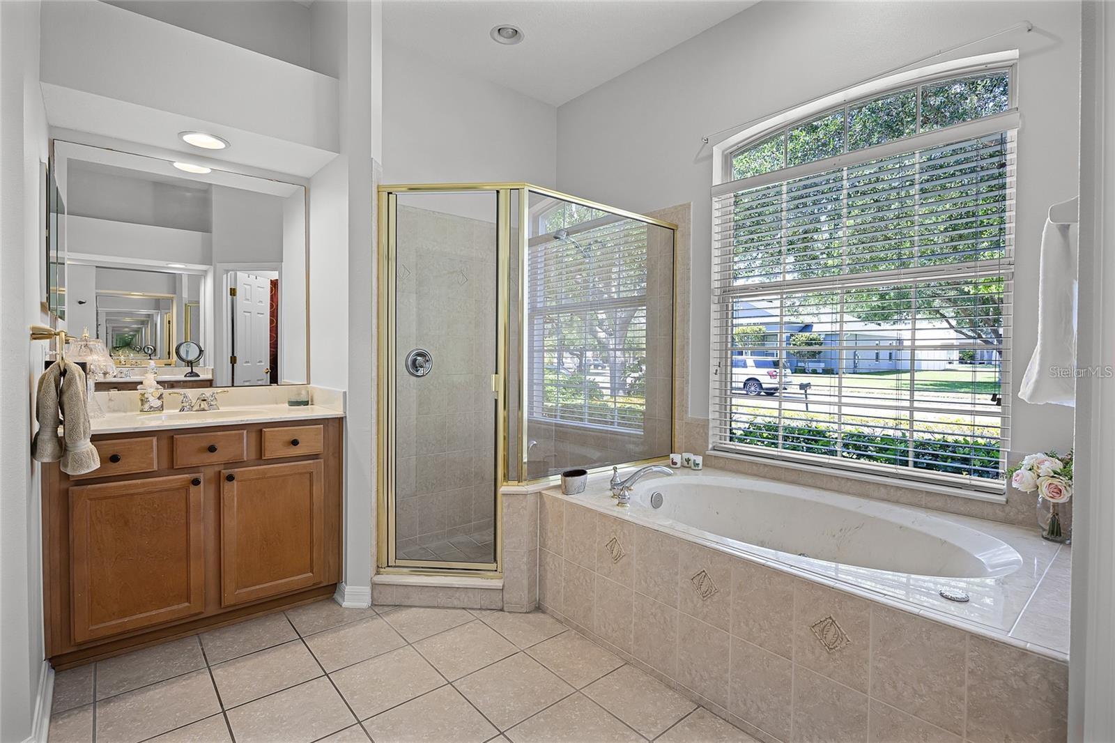Image 12 of 24 For 849 Shadowmoss Drive