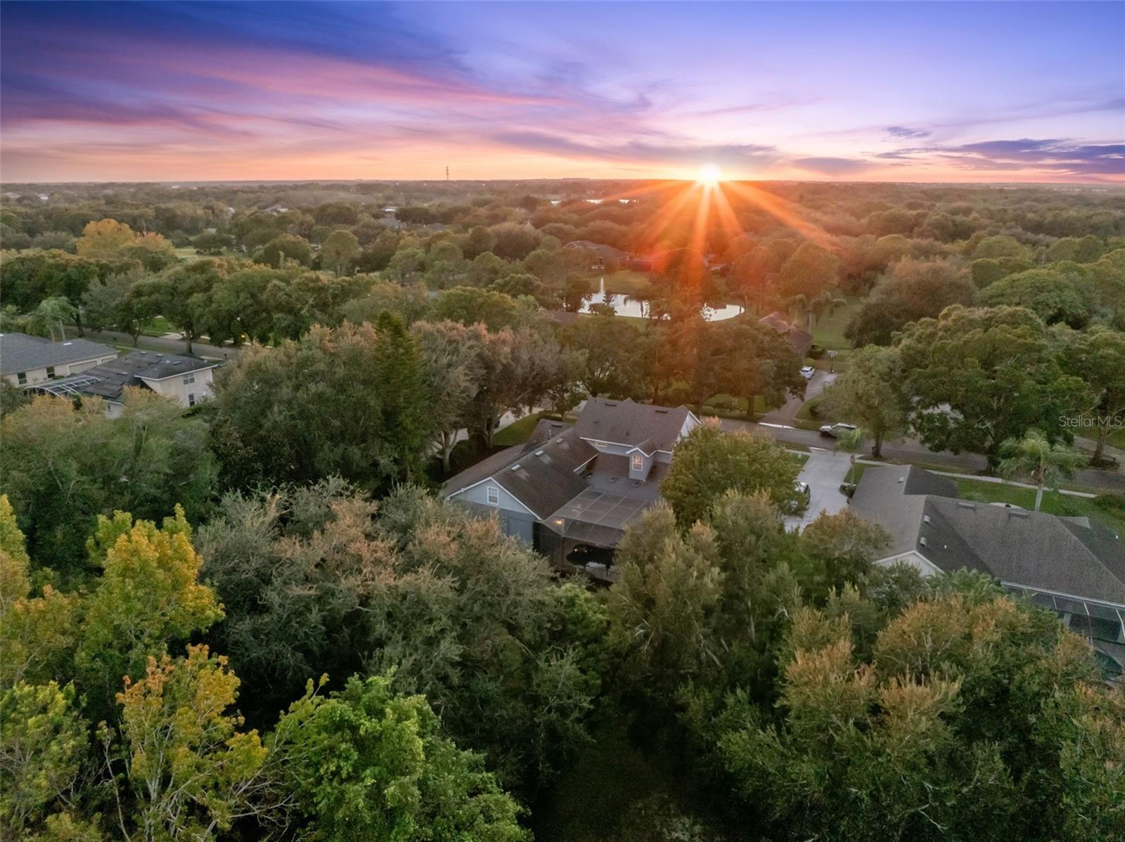 Image 38 of 39 For 2509 Ridgewind Way