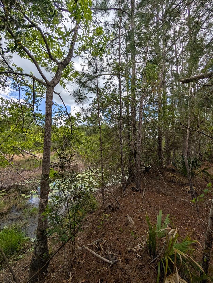 Details for 38521 Ilex Trail, EUSTIS, FL 32736