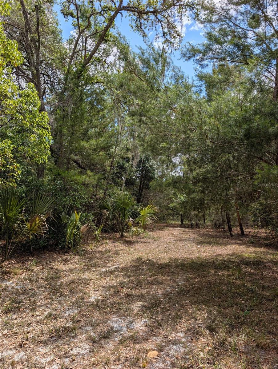 Image 10 of 29 For 38521 Ilex Trail