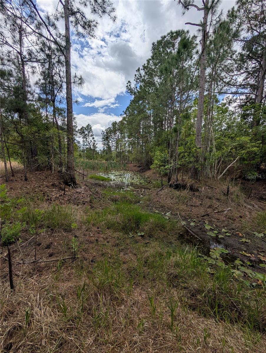 Image 13 of 29 For 38521 Ilex Trail