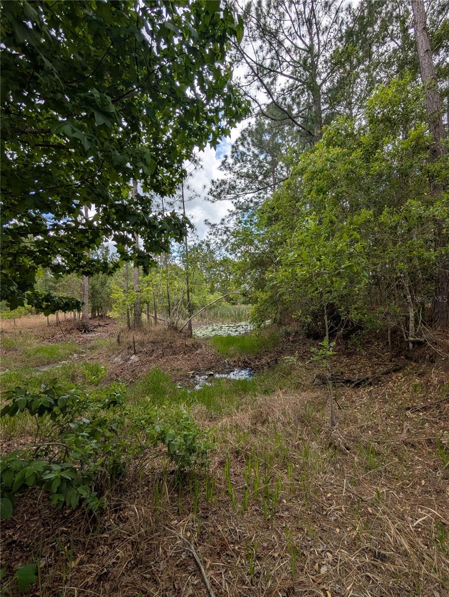 Image 23 of 29 For 38521 Ilex Trail