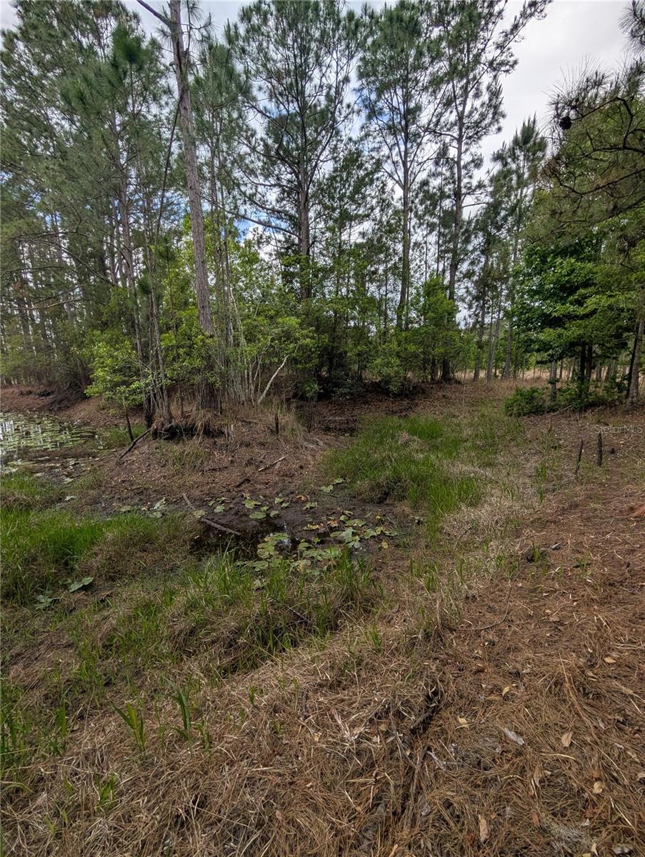 Image 24 of 29 For 38521 Ilex Trail