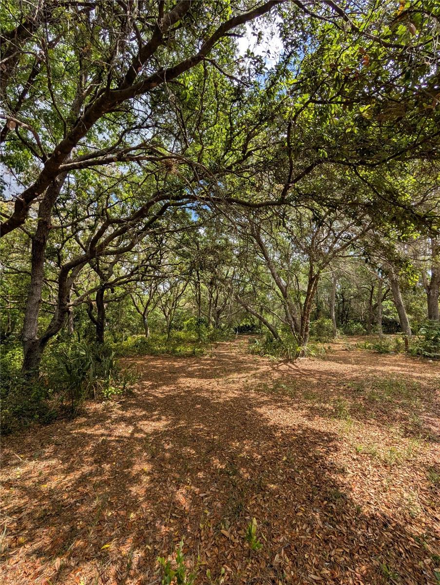 Image 25 of 29 For 38521 Ilex Trail