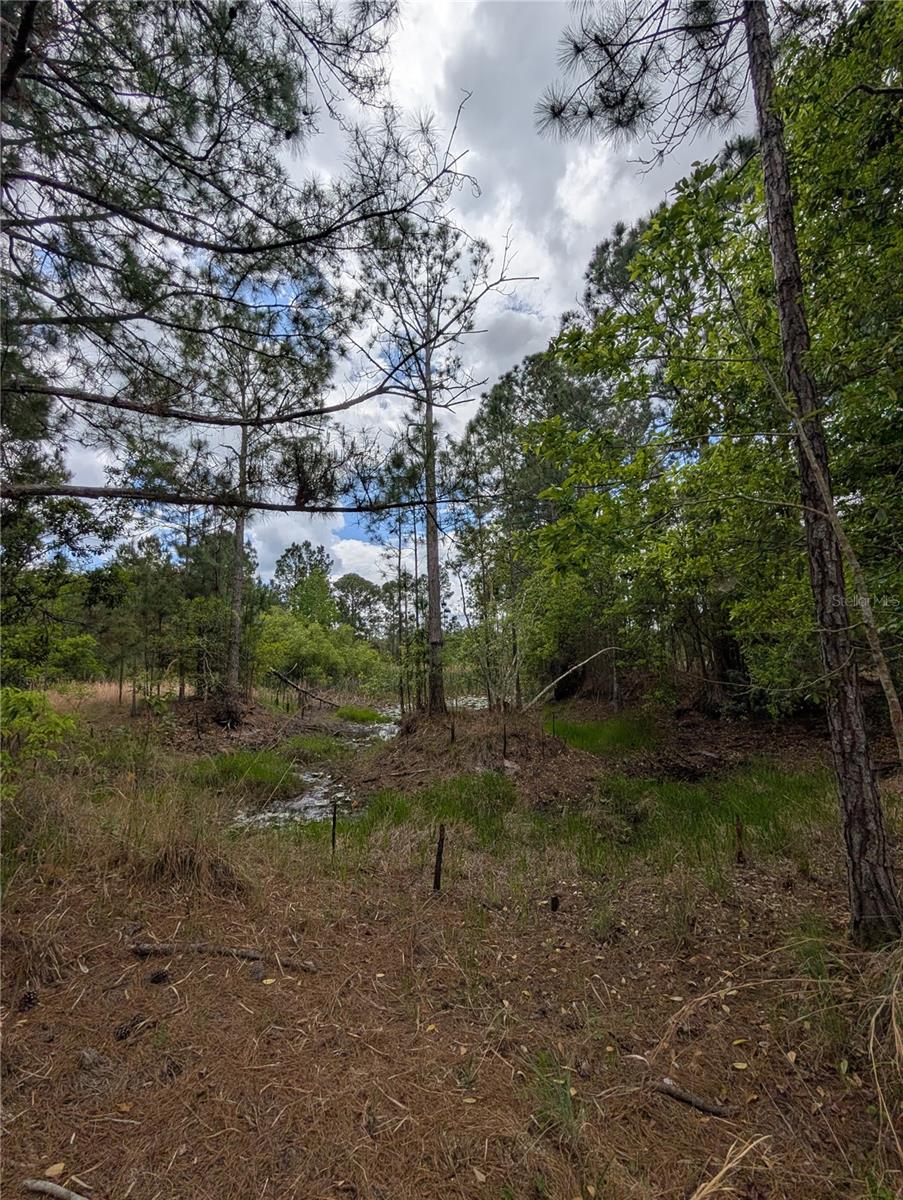 Image 3 of 29 For 38521 Ilex Trail