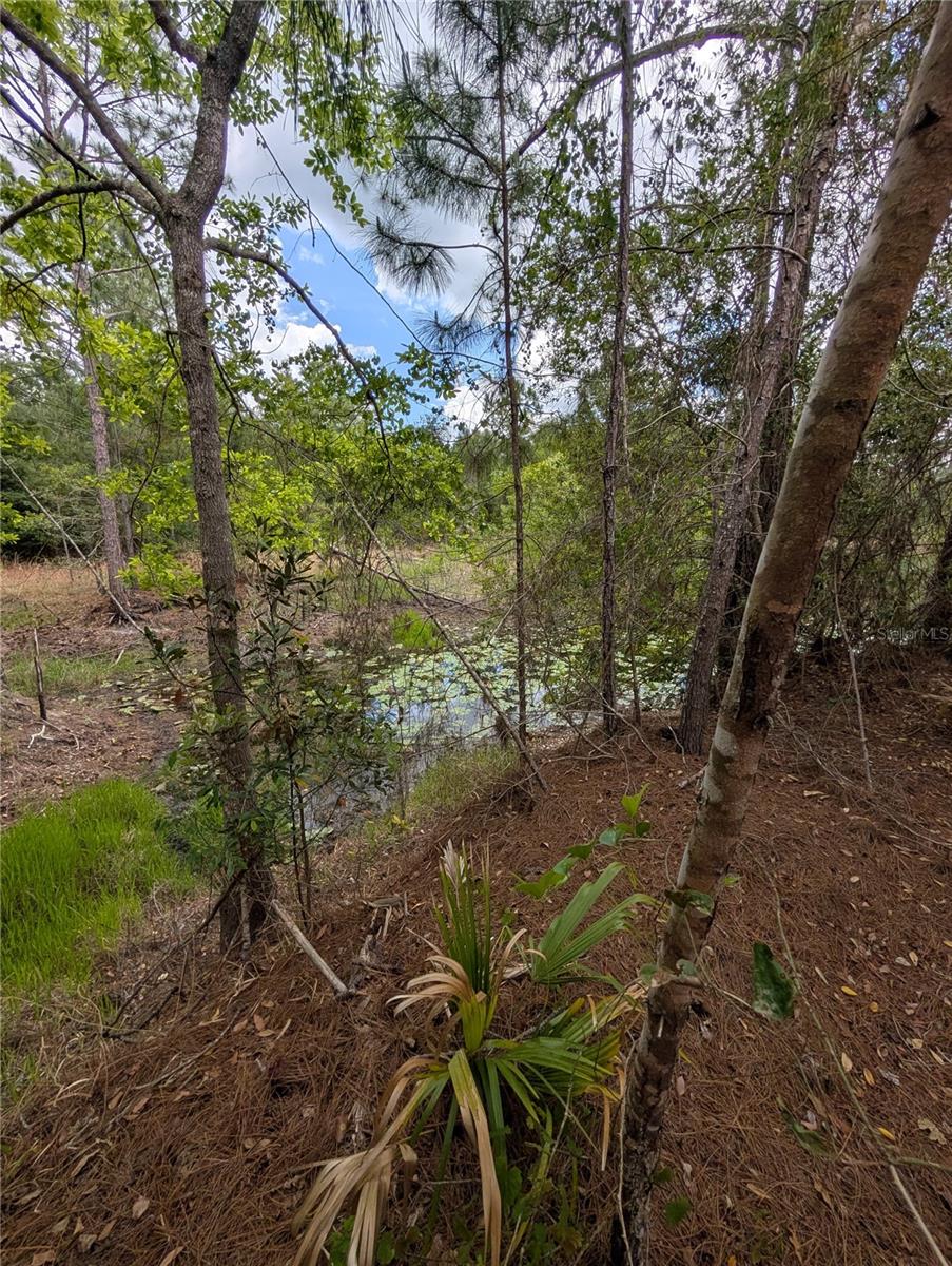 Image 4 of 29 For 38521 Ilex Trail