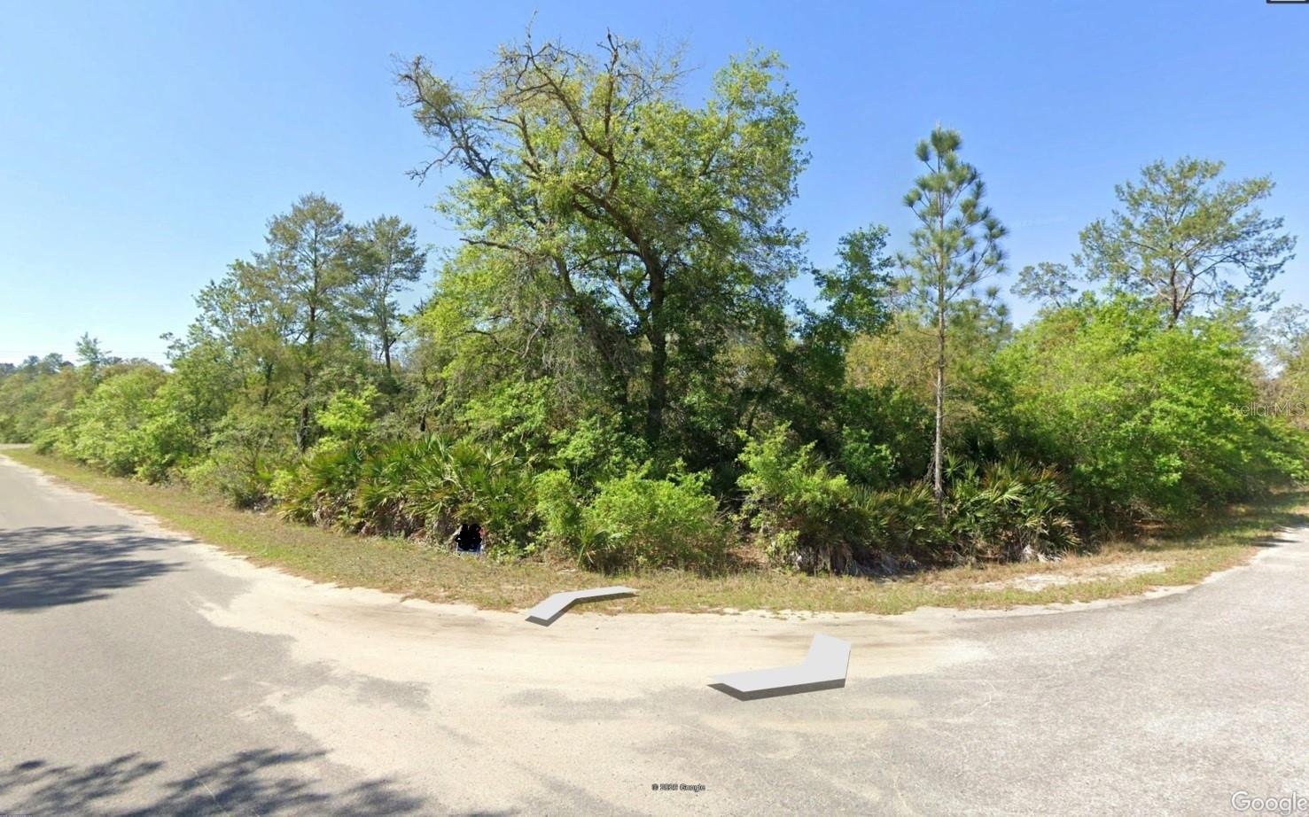 Details for 43 Sequoia Trail, OCKLAWAHA, FL 32179