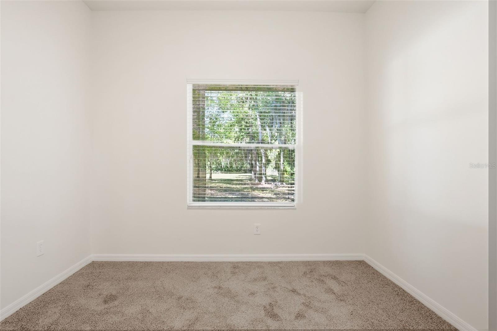 Listing photo id 26 for 4745 Patagonia Place