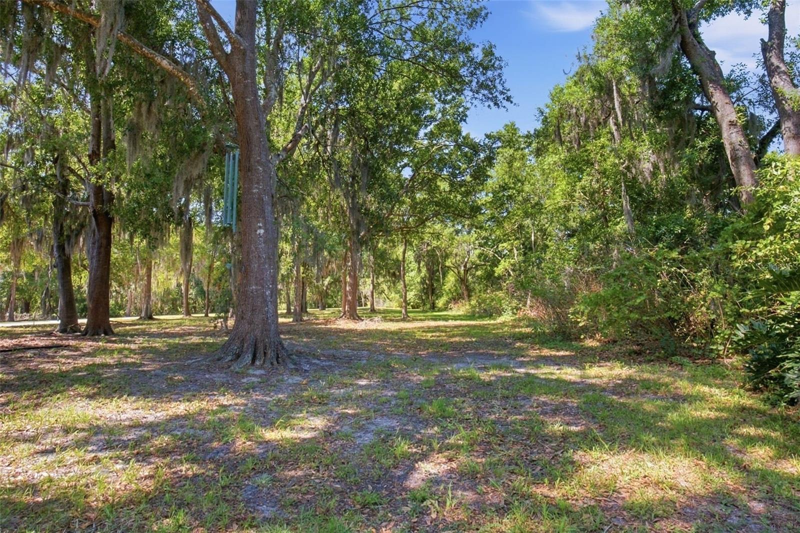 Listing photo id 44 for 4745 Patagonia Place