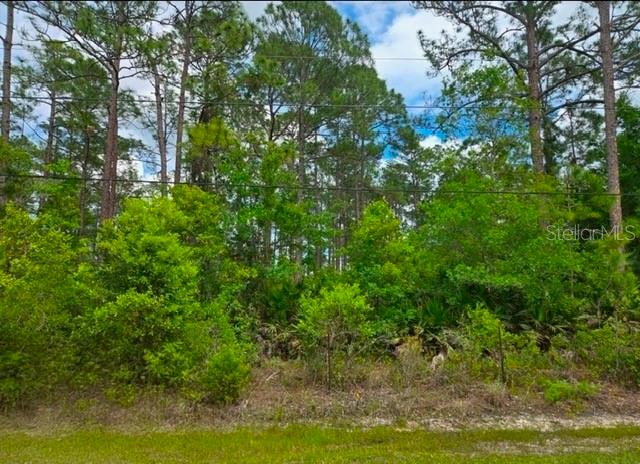 Details for 1747 Candleberry Street, BUNNELL, FL 32110