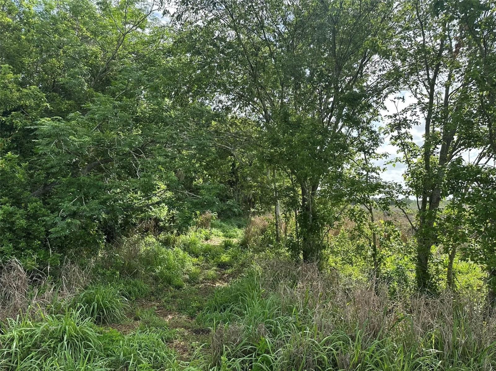 Image 4 of 7 For Howard Avenue