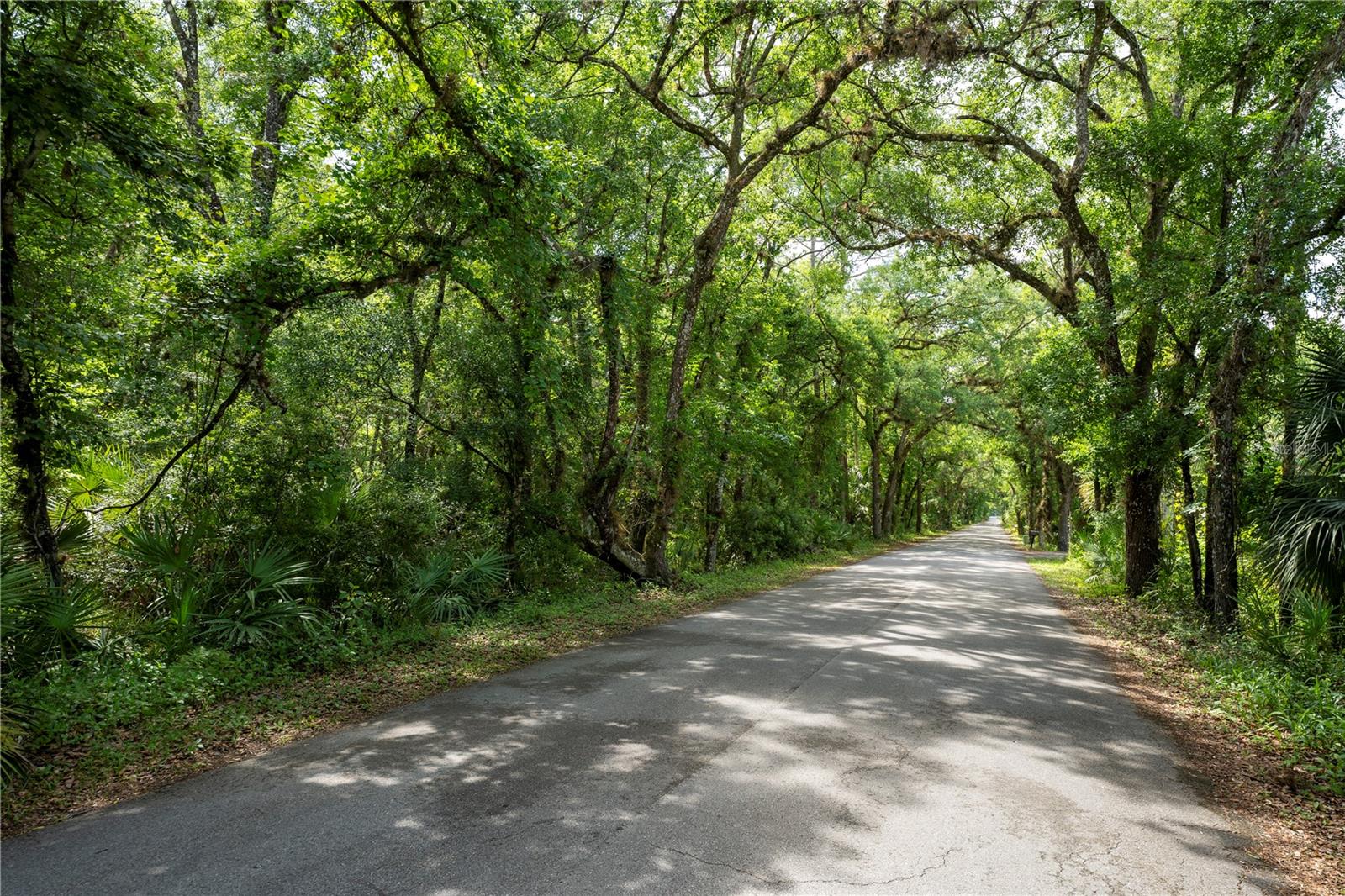 Image 2 of 14 For 651 County Road 13