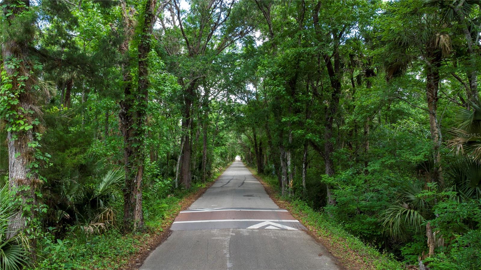 Image 4 of 14 For 651 County Road 13