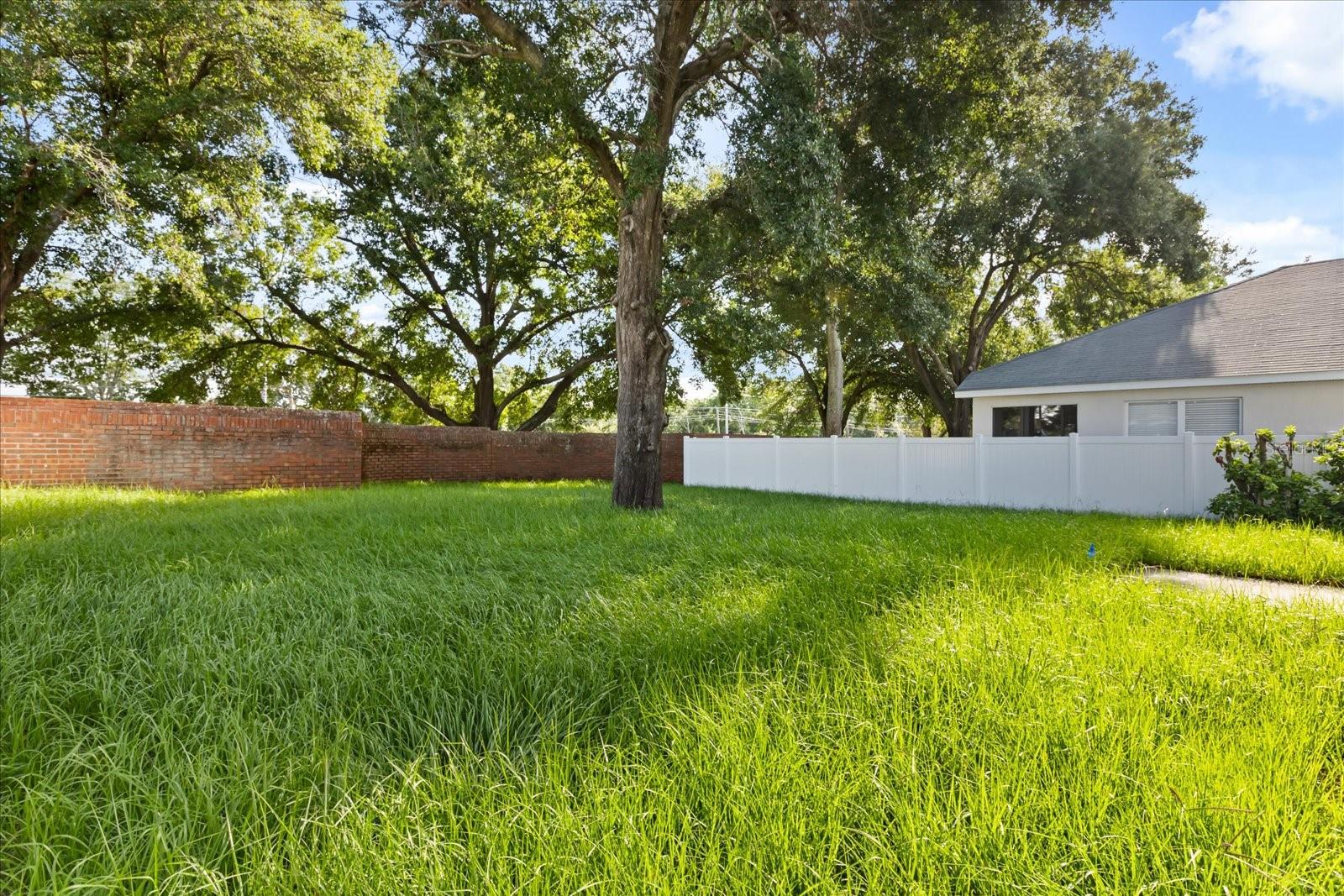 Image 28 of 48 For 349 Hanging Moss