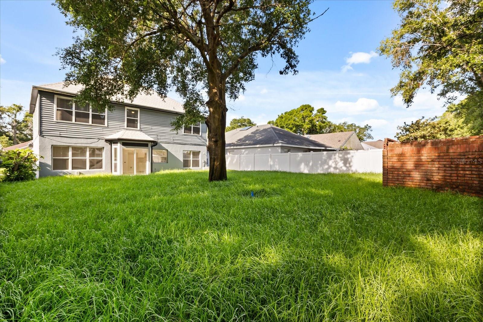 Image 29 of 48 For 349 Hanging Moss