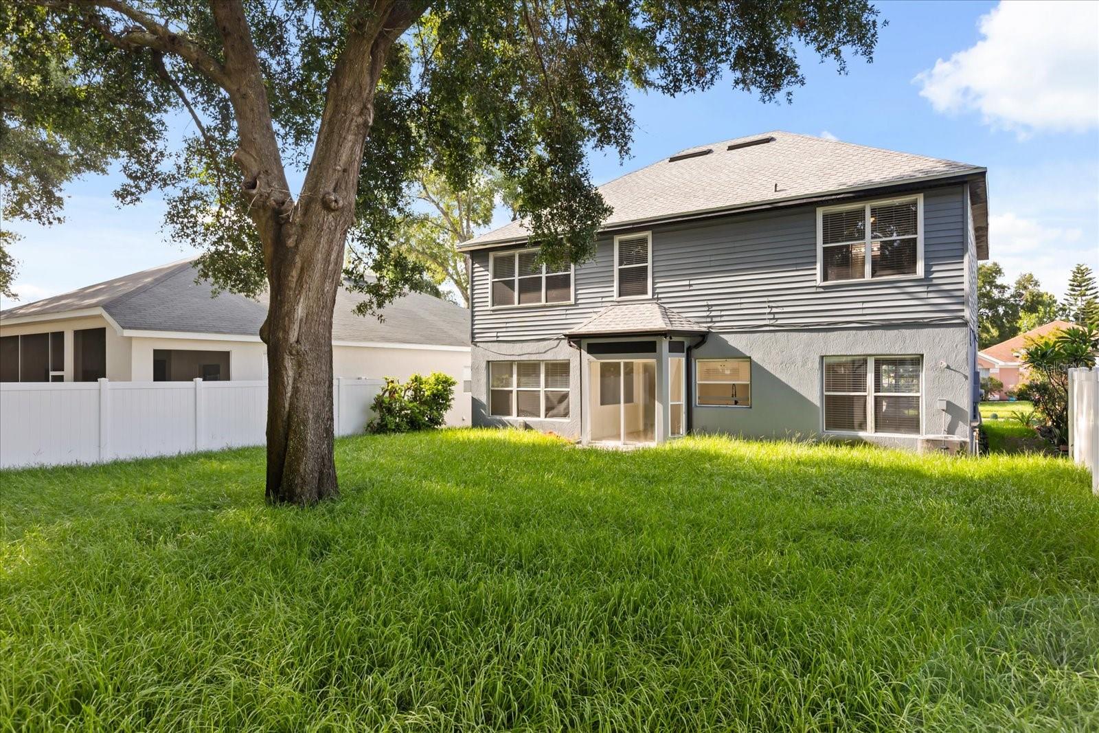 Image 30 of 48 For 349 Hanging Moss