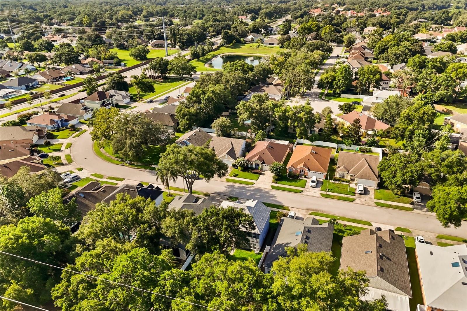 Image 35 of 48 For 349 Hanging Moss