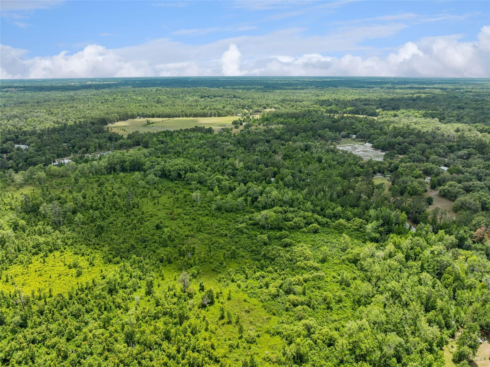 Image 15 of 16 For Culbreath Road
