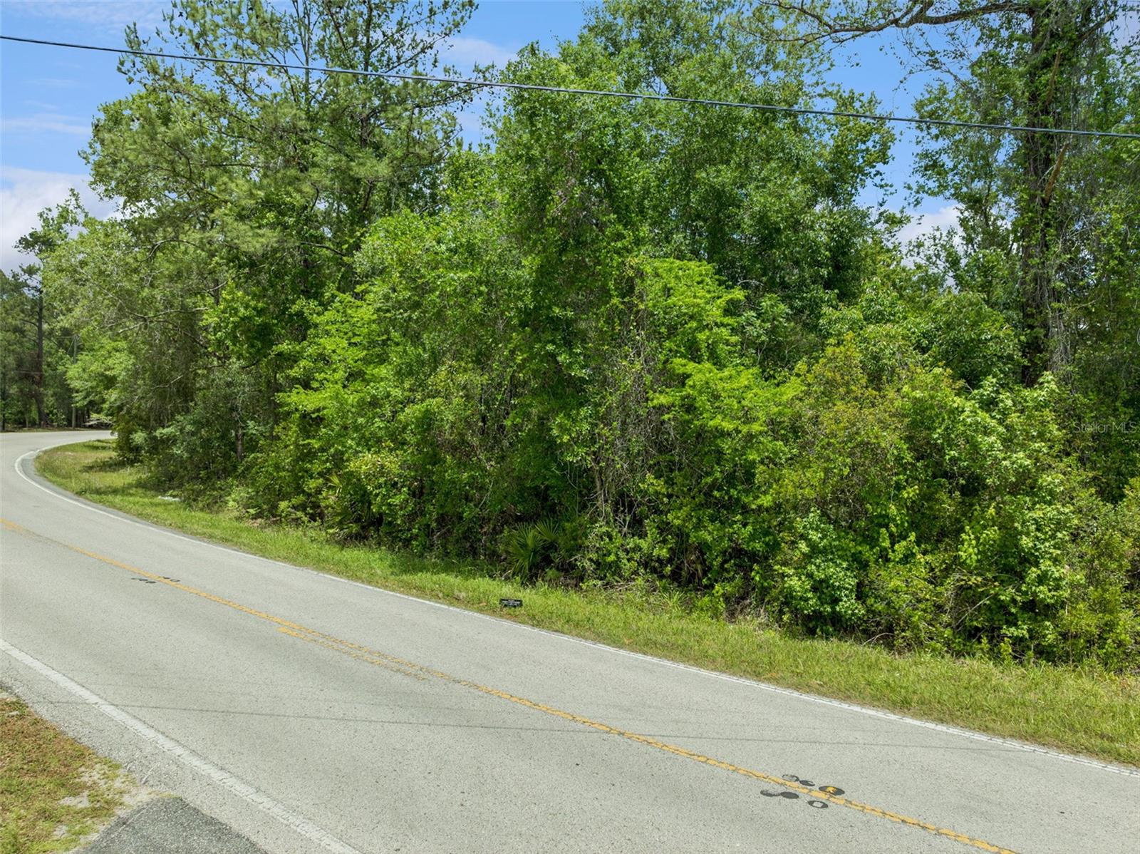 Image 4 of 16 For Culbreath Road